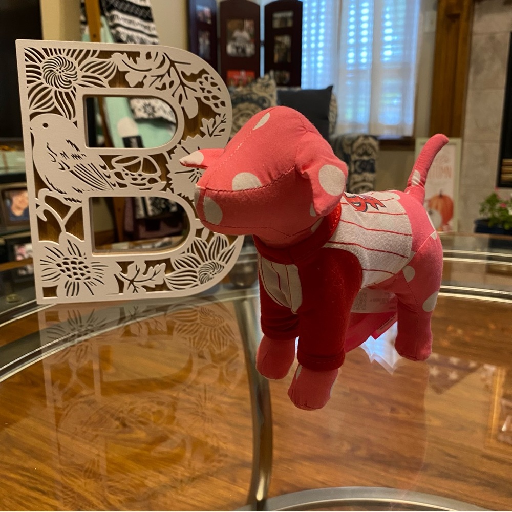 VS Pink mini dog